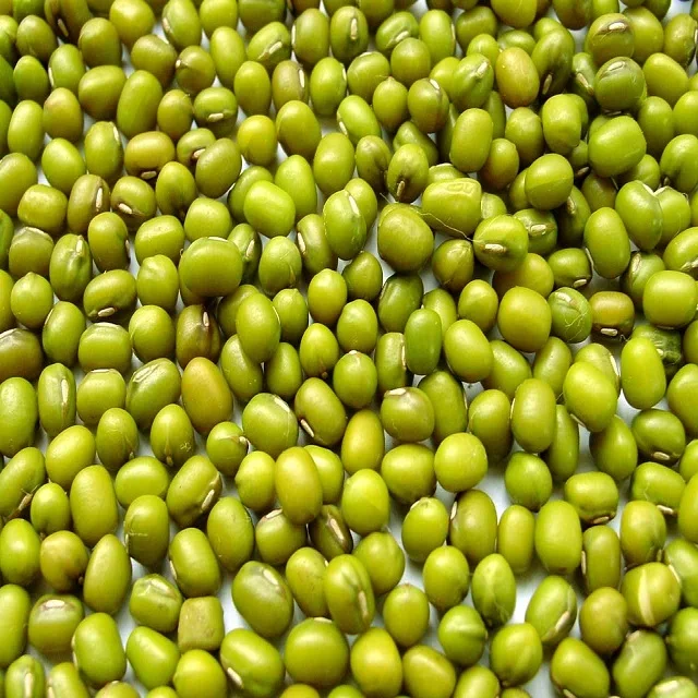 
Promotional Various Good Quality Indonesia Mung Bean Green Beans 