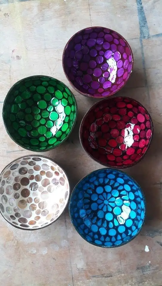 Best Price Natural Coconut Shell Bowl Vietnam Decorative Coco Shell bowl