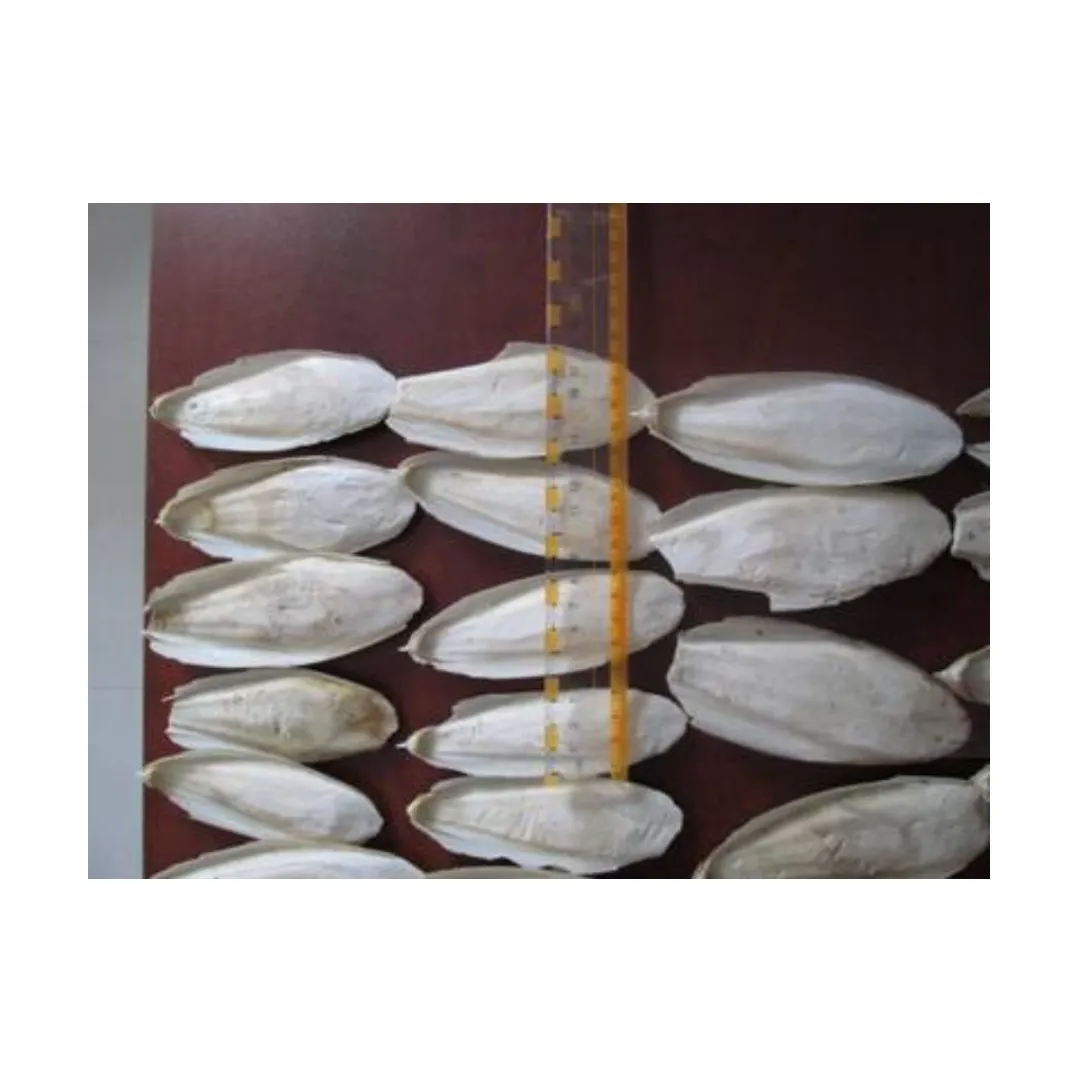 Сушеный порошок из кости и каракатицы хорошего качества от Вьетнама 99GD