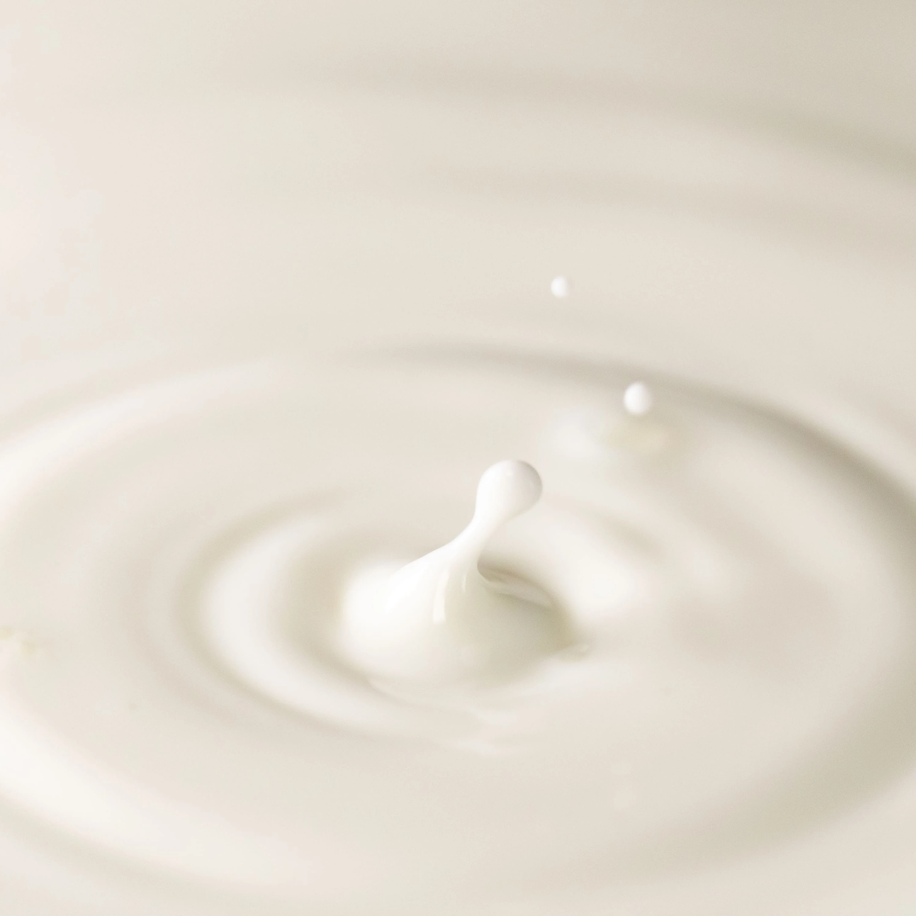 Evaporated milk/ Unsweetened condensed milk