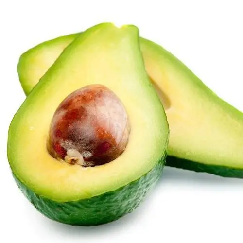 Hass Avocado from for sale