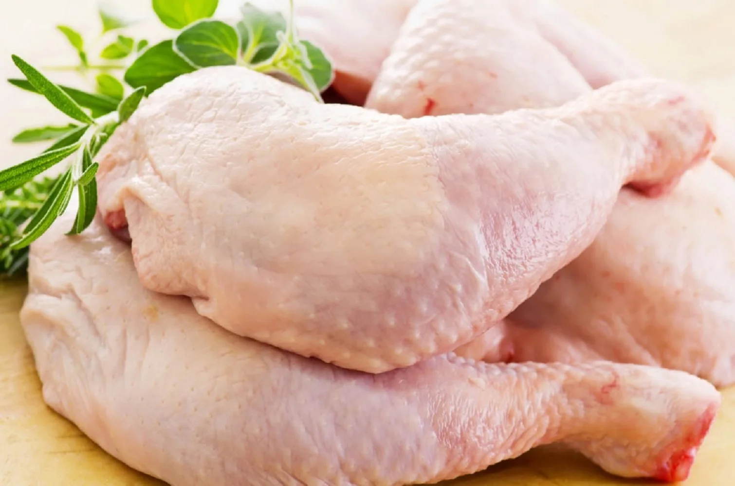 
2021 Best Sale A Grade Quality Halal Frozen Chicken Meat 