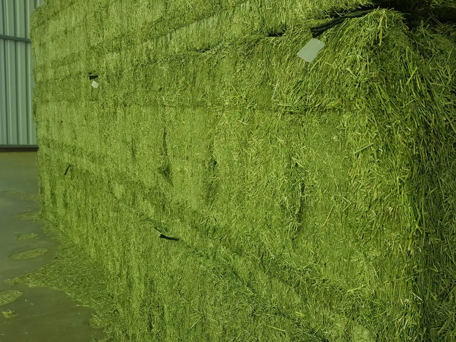 
Alfalfa hay high protein cow feed 