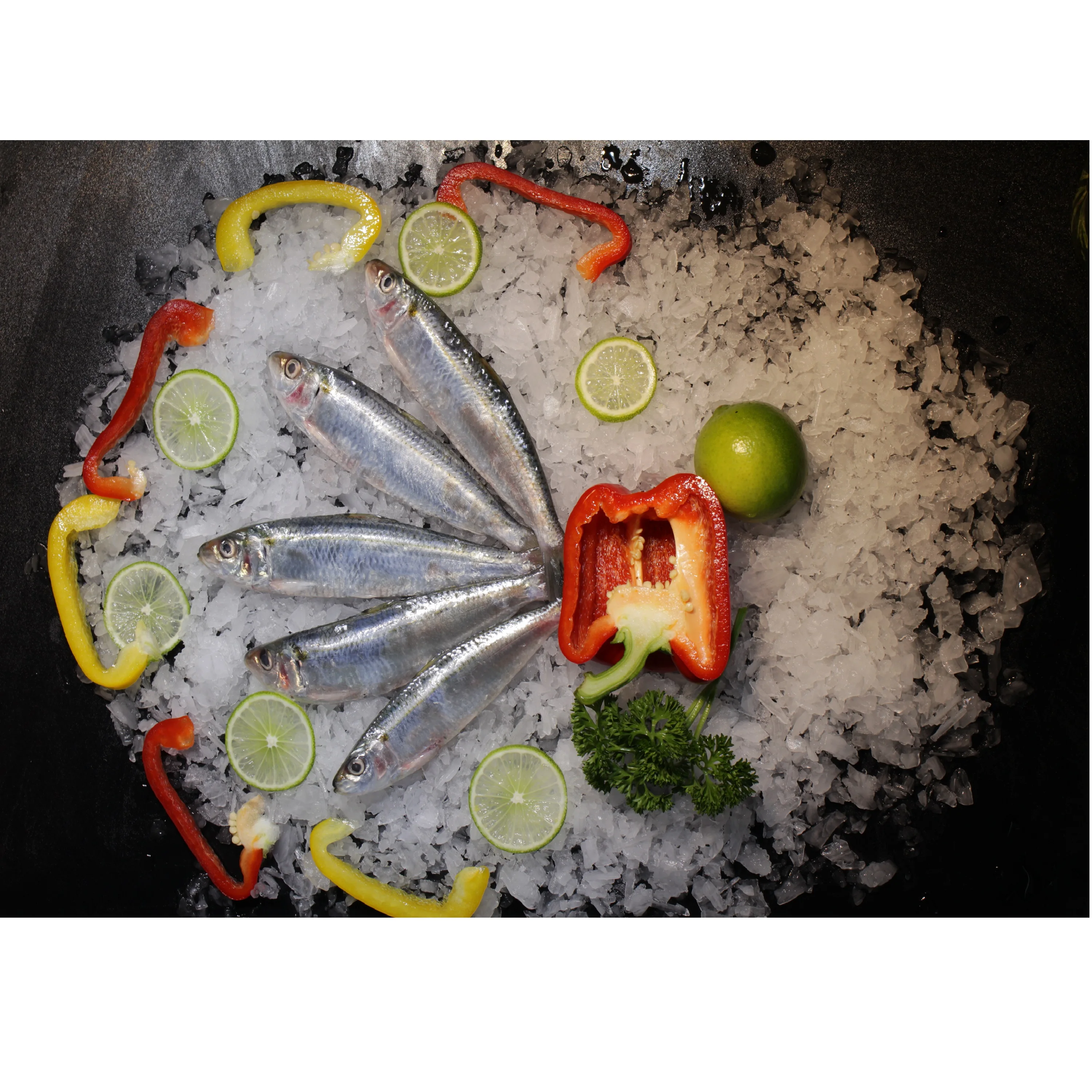 
Sardinella Gibbosa Frozen Whole Piece With Shelf Life 12 Months In Bag And Box Packaging 