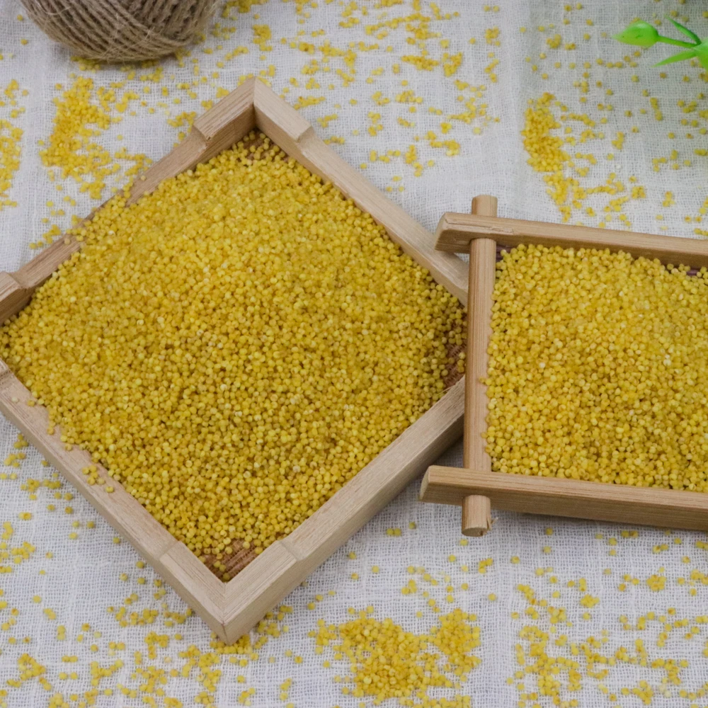 Оптовый Поставщик Высококачественной шелухи/лисий хвост Цена проса