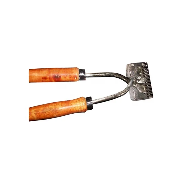 Horse Grooming Equipment.