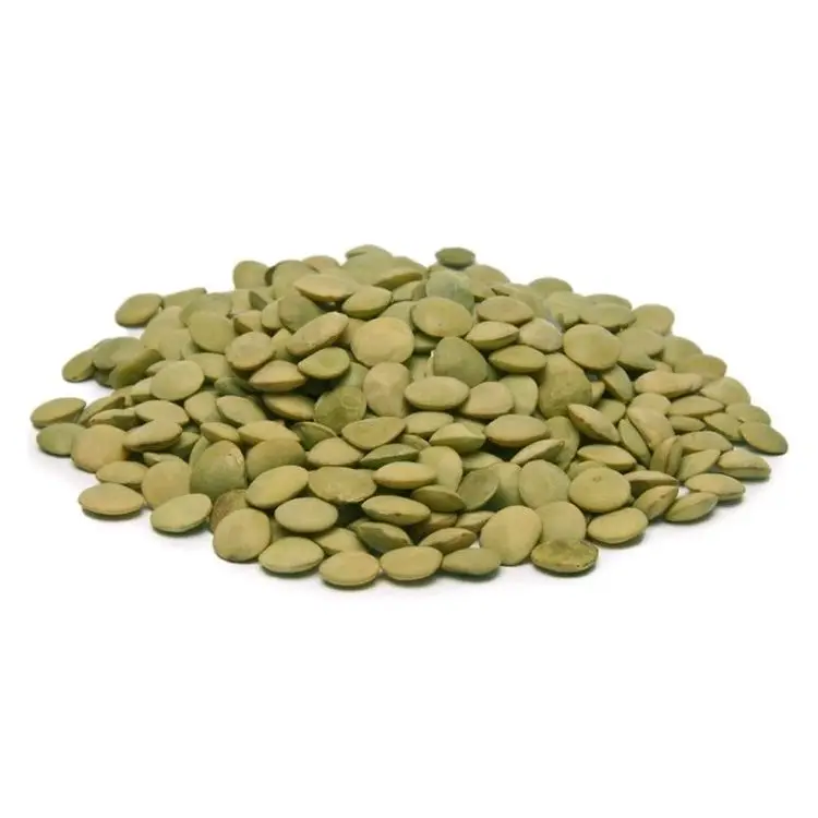 Top  Quality Best price export green red Lentils( Masoor Dal)