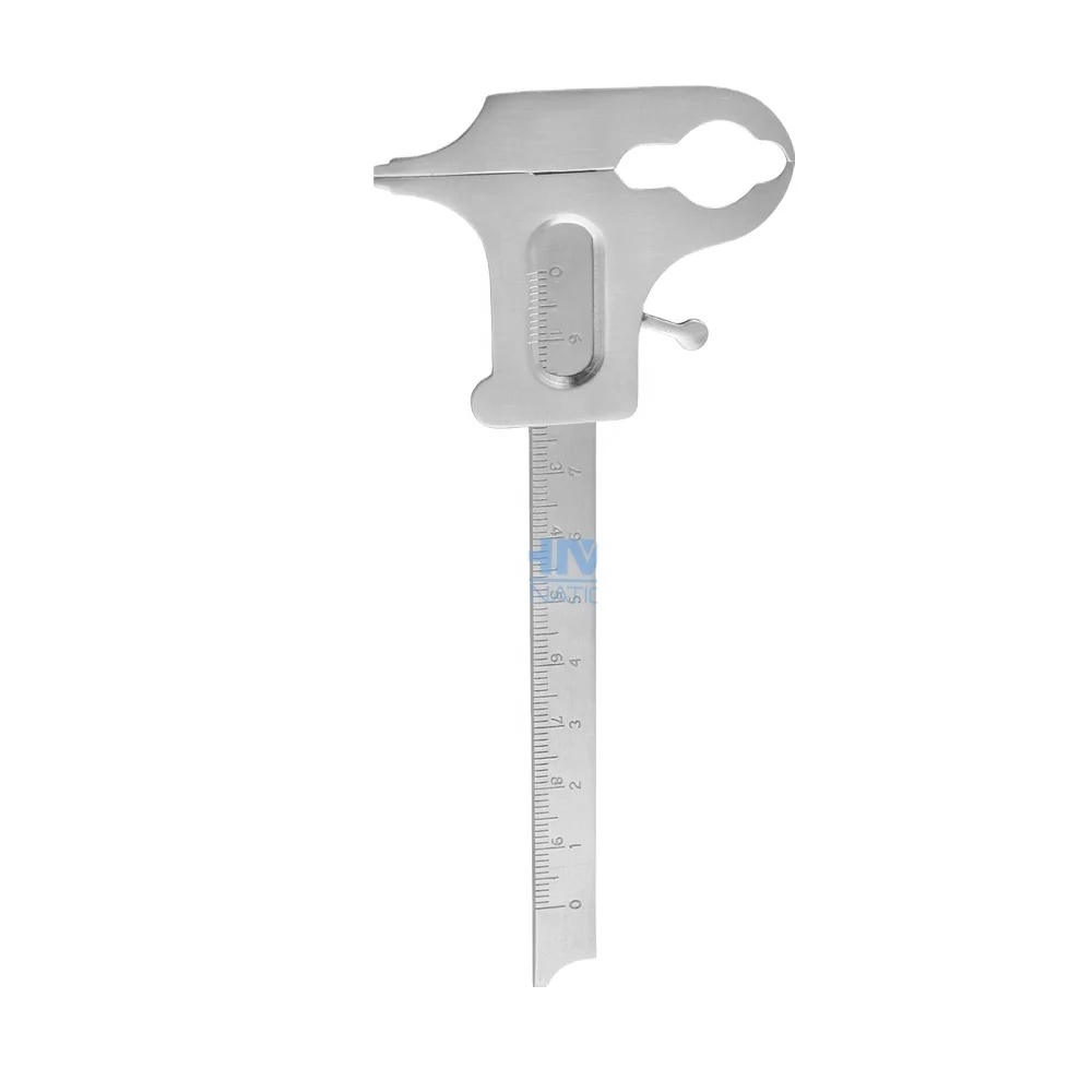 boley gauge Stainless-Steel Vernier Caliper