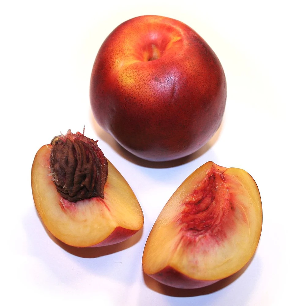 
МИЛЫЙ натуральный Нектарин-Лучшая цена для оптовой продажи, экспорт нектарина для продажи, тип 2 