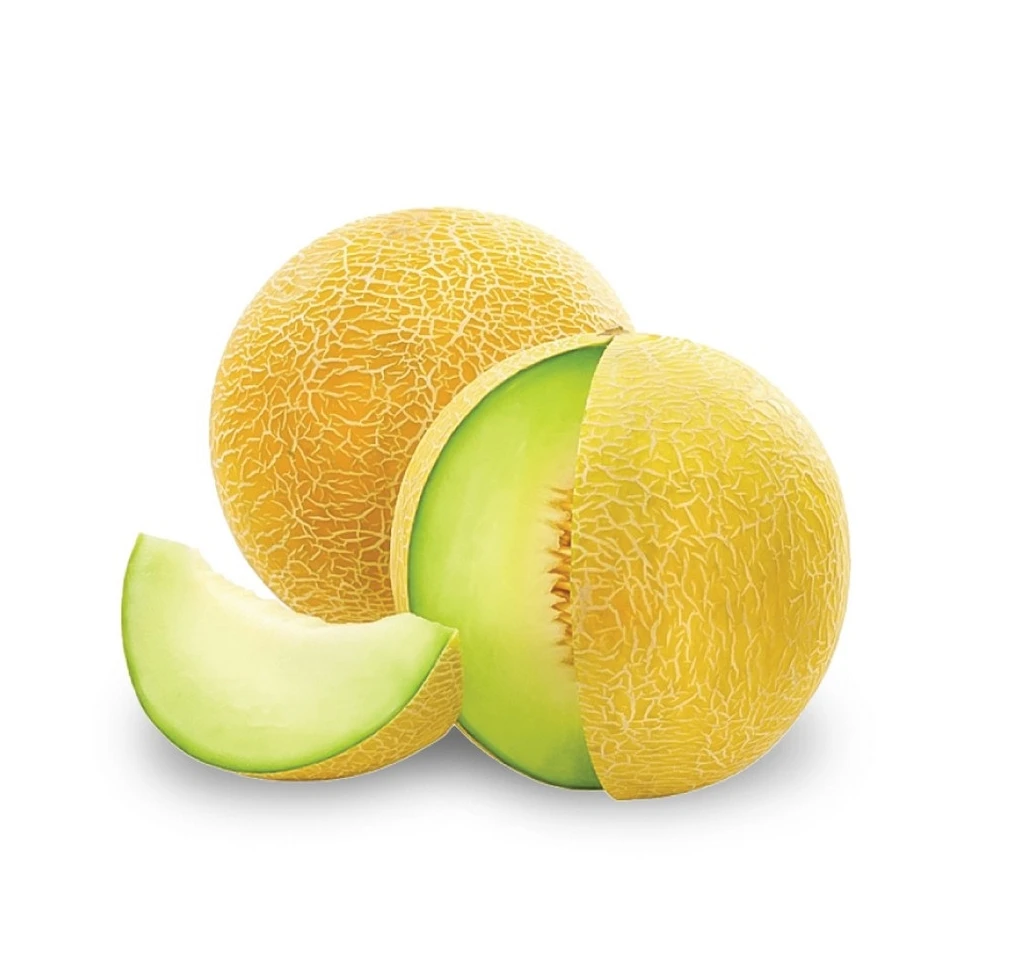 Export Quality Muskmelon Sweet Fresh Melon on Sale Unifarm Vietnam