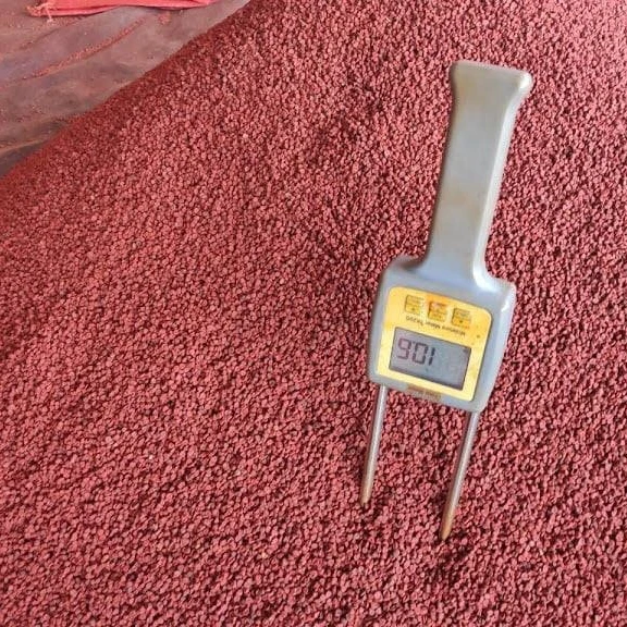 Лидер продаж вьетнамские Сушеные Семена карри семена аннато высококачественные красные кешью контакты Нэнси + 84 337 628 959