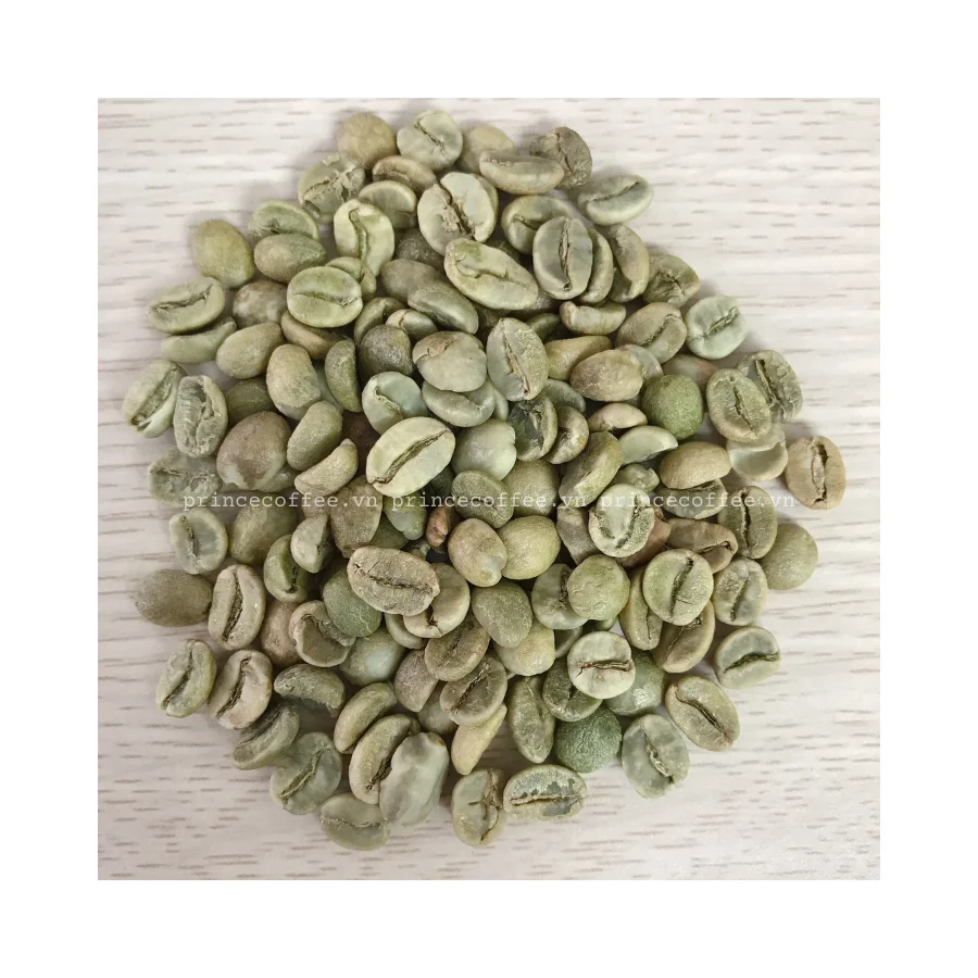  Вьетнамский кофе 100% зеленые кофейные зерна оптовая продажа зеленый в зернах Arabica
