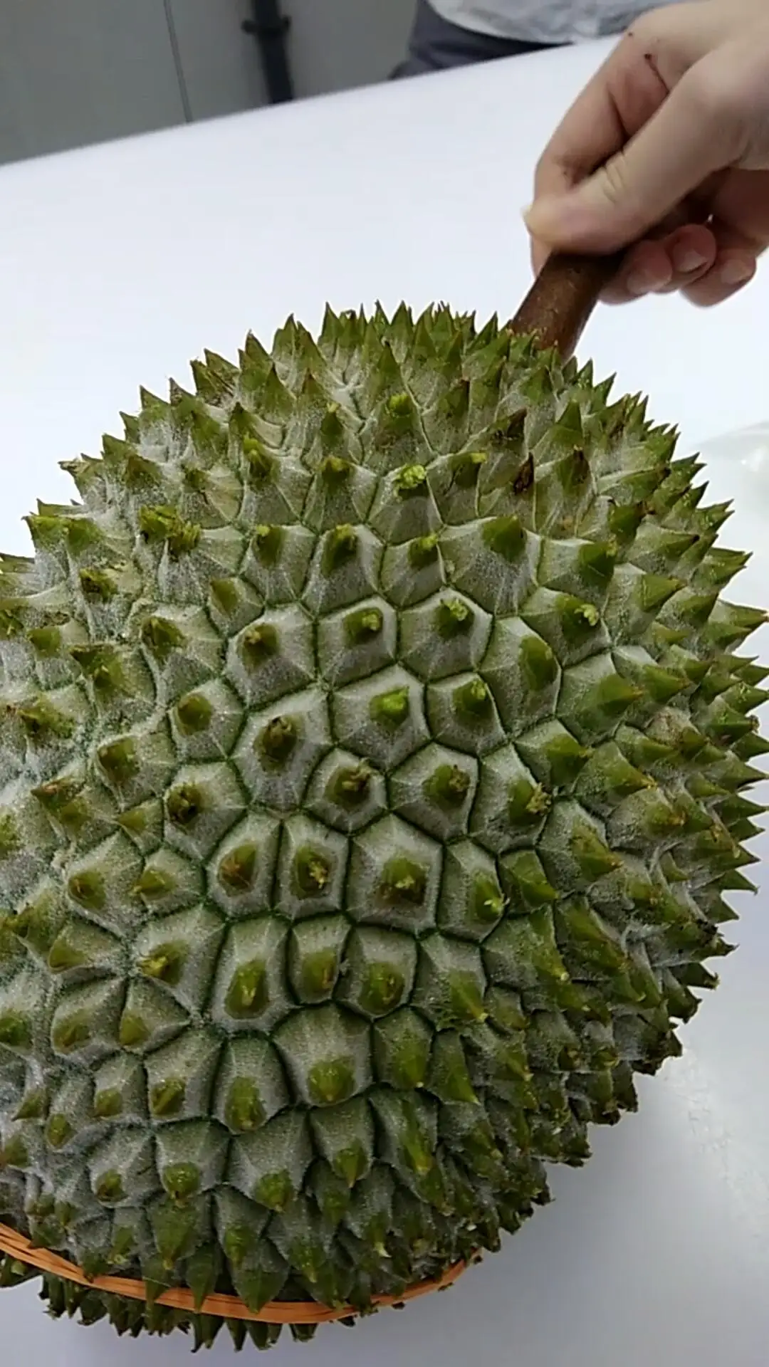 Malaysia fruits Premium frozen Mao Shan Wang Durian green skin golden yellow flesh d197 musang king