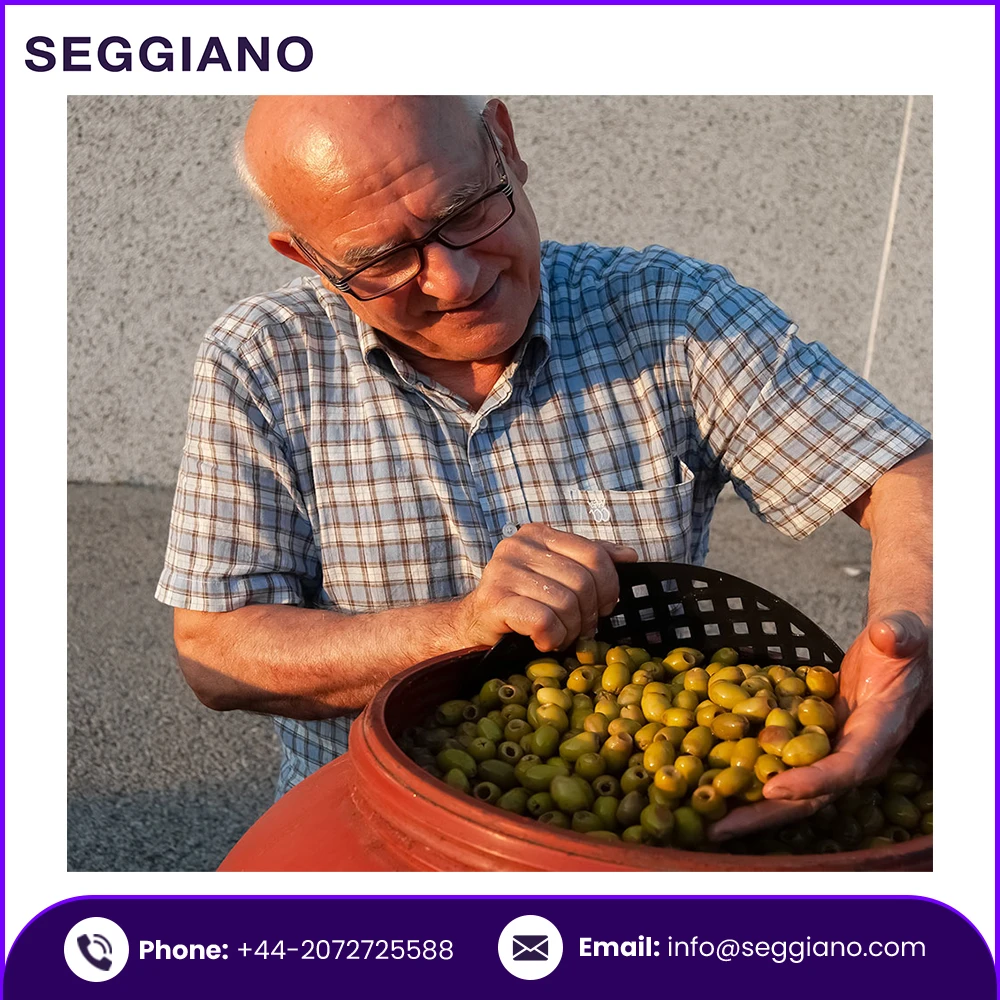 Wholesale Fresh Olives Supply Seggiano Organic Rosate di Bitteto Olives 190g