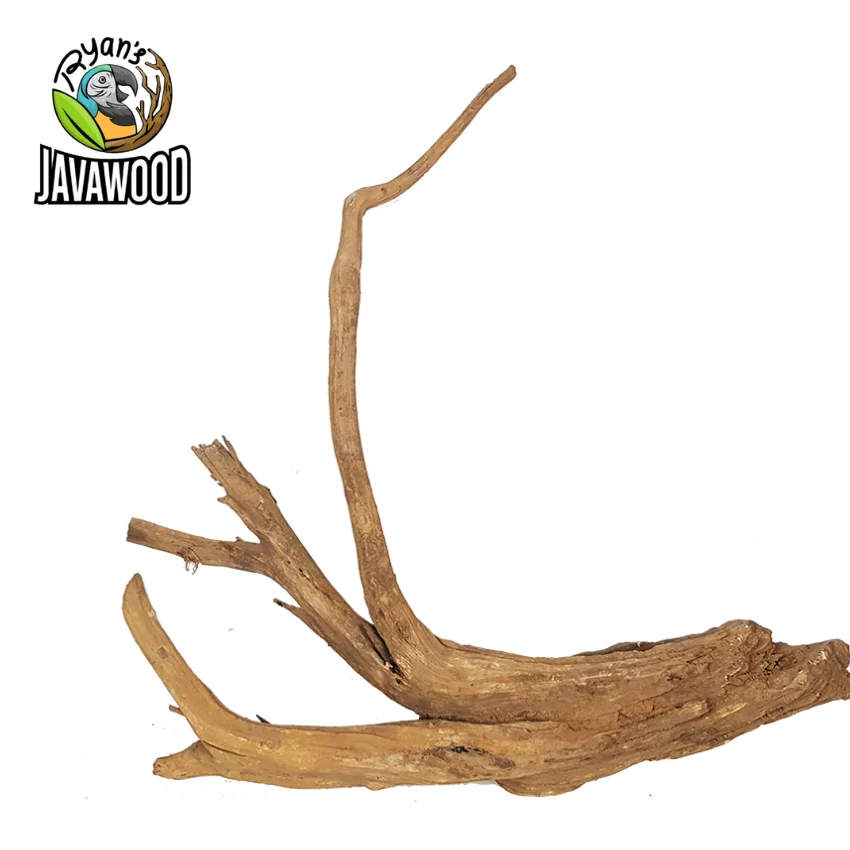 Лидер продаж, малазийский декоративный аквариум Crownwood Aquascape Bonsai из центрального Java Indonesia