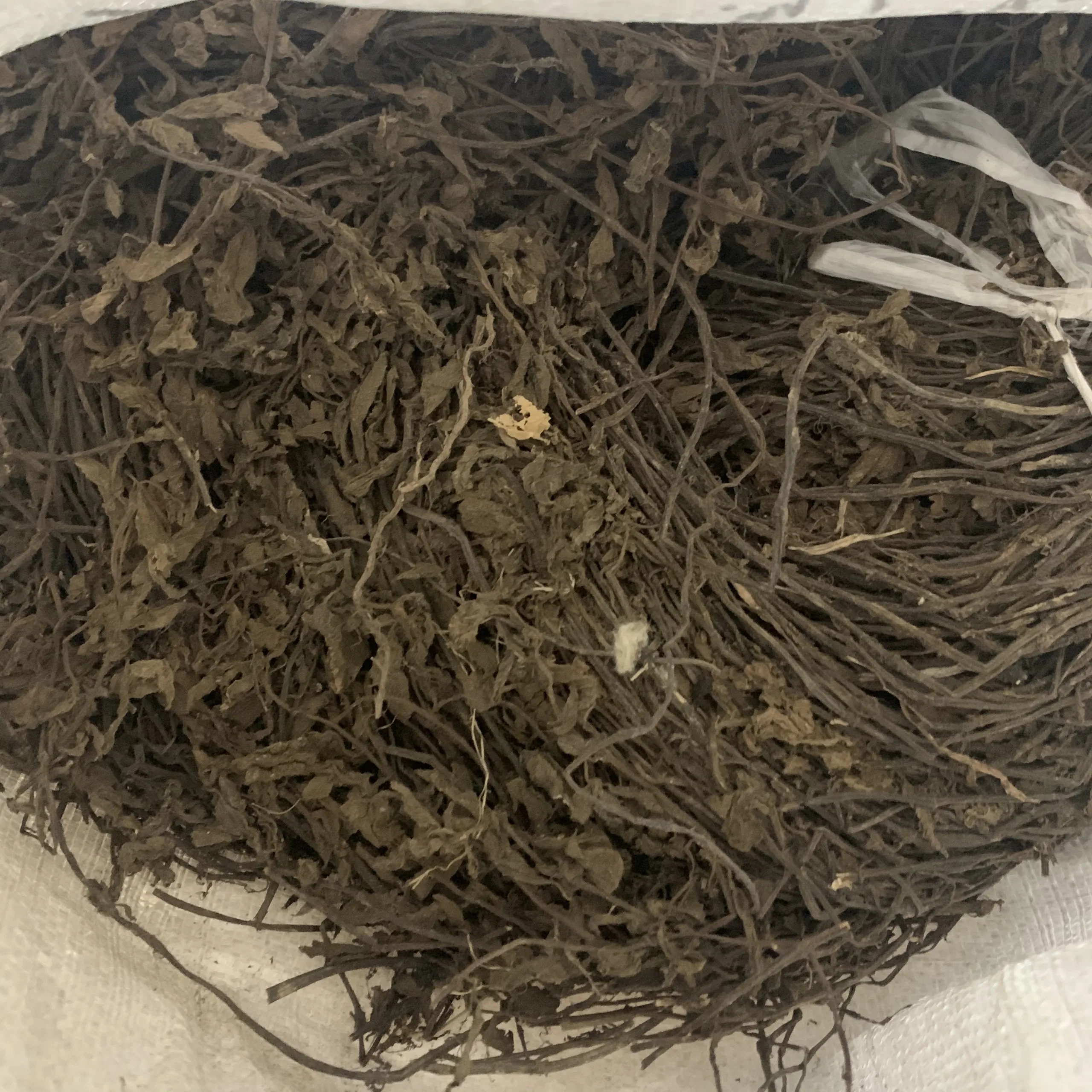 Mesona procumbens листья желе из сушеной травы-Ms Кэти