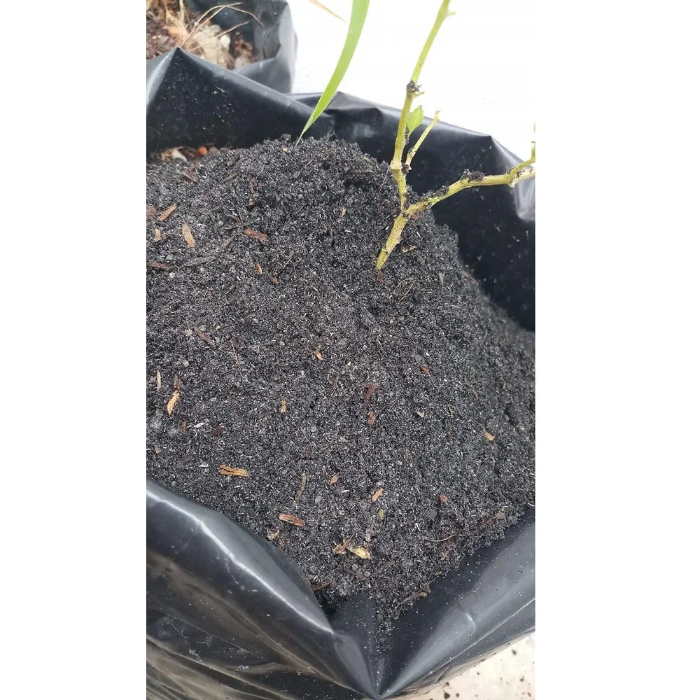 
Низкая цена, хорошее качество, ясень рисовой шелухи с 100% рисовой шелушкой, ясень из малайзии 