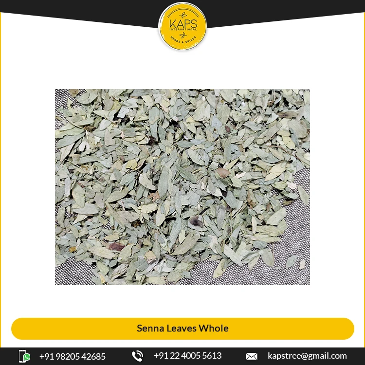 Top Listed Seller Selling Herbs Senna Leaves / Cassia Angustifolia Whole for World Wide Purchase