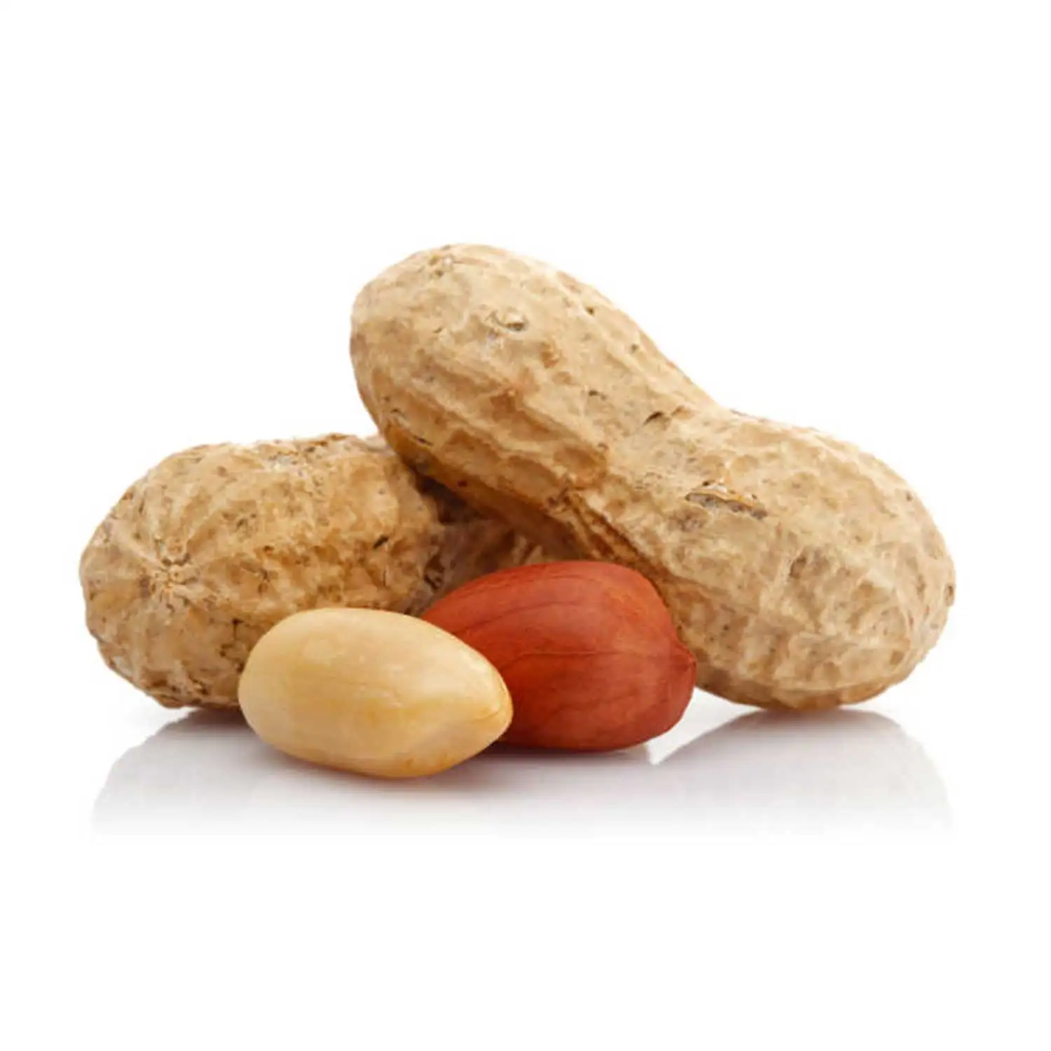 Nutritious Red Skin Peanut  Red Skin Top Grade Peanuts