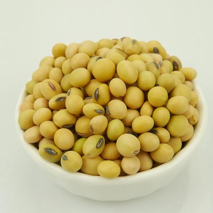 NON-GMO Soya Beans Soybeans United Kingdom