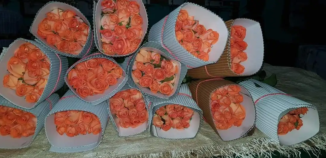 
Revival Roses For Bridal And Boquet Decoration 