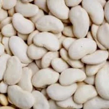 Cheap Quality White Butter Beans For Sale