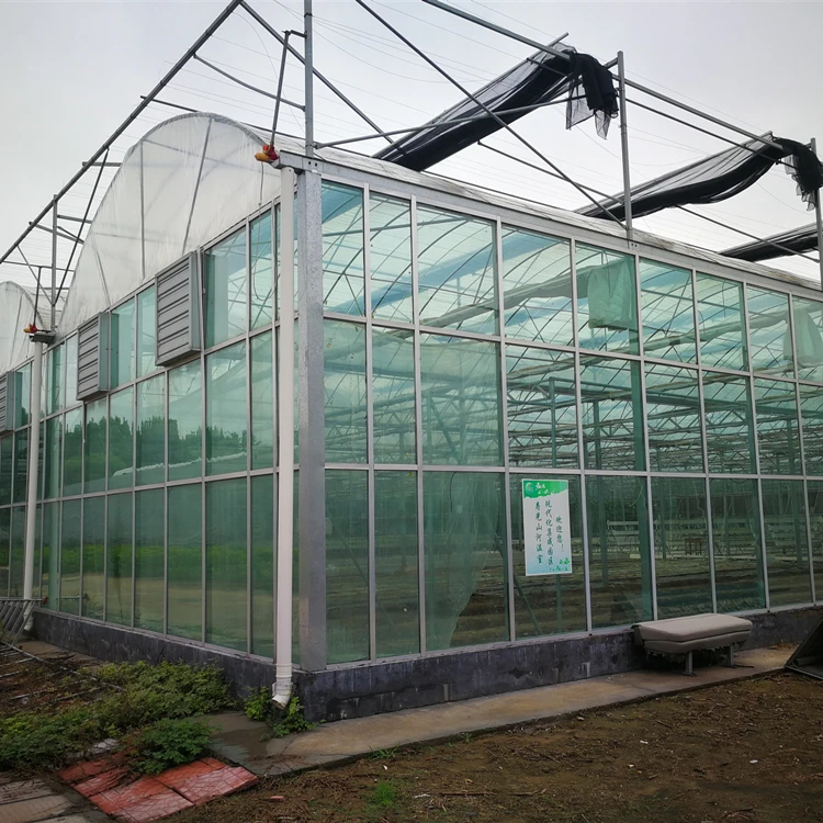 Large Automatic Intelligent Agricultural Glass Greenhouse with Soilless Culture Hydroponic Drip Irrigation System