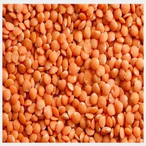 
BEST QUALITY GREEN AND RED LENTILS , LOW PRICE 