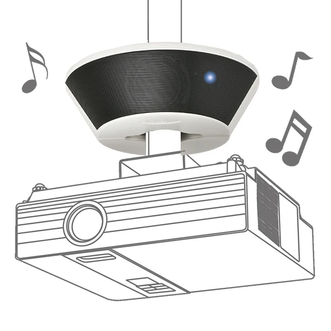Аудиоколонка для системы PA/аудиоколонка Hi-Fi проектора с классным