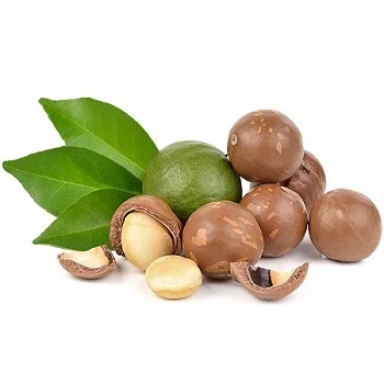 
macadamia nuts original from Vietnam macadamia high quality 2021 