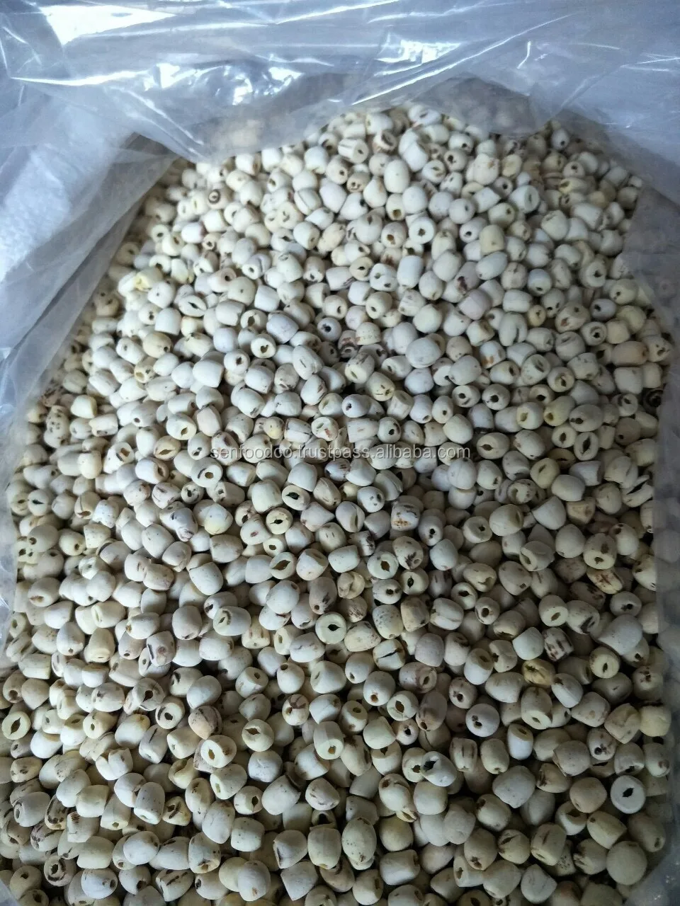 DRIED LOTUS SEEDS  FROM VIETNAM HIGH QUALITY (WHITE AND BLACK LOTUS SEEDS)  whatsapp +84934449569