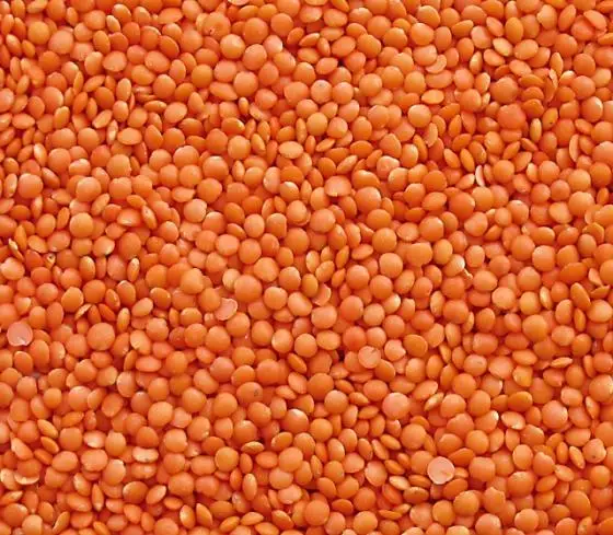 
Top Quality Lentils (Red, Green, Brown, Yellow, Black) 