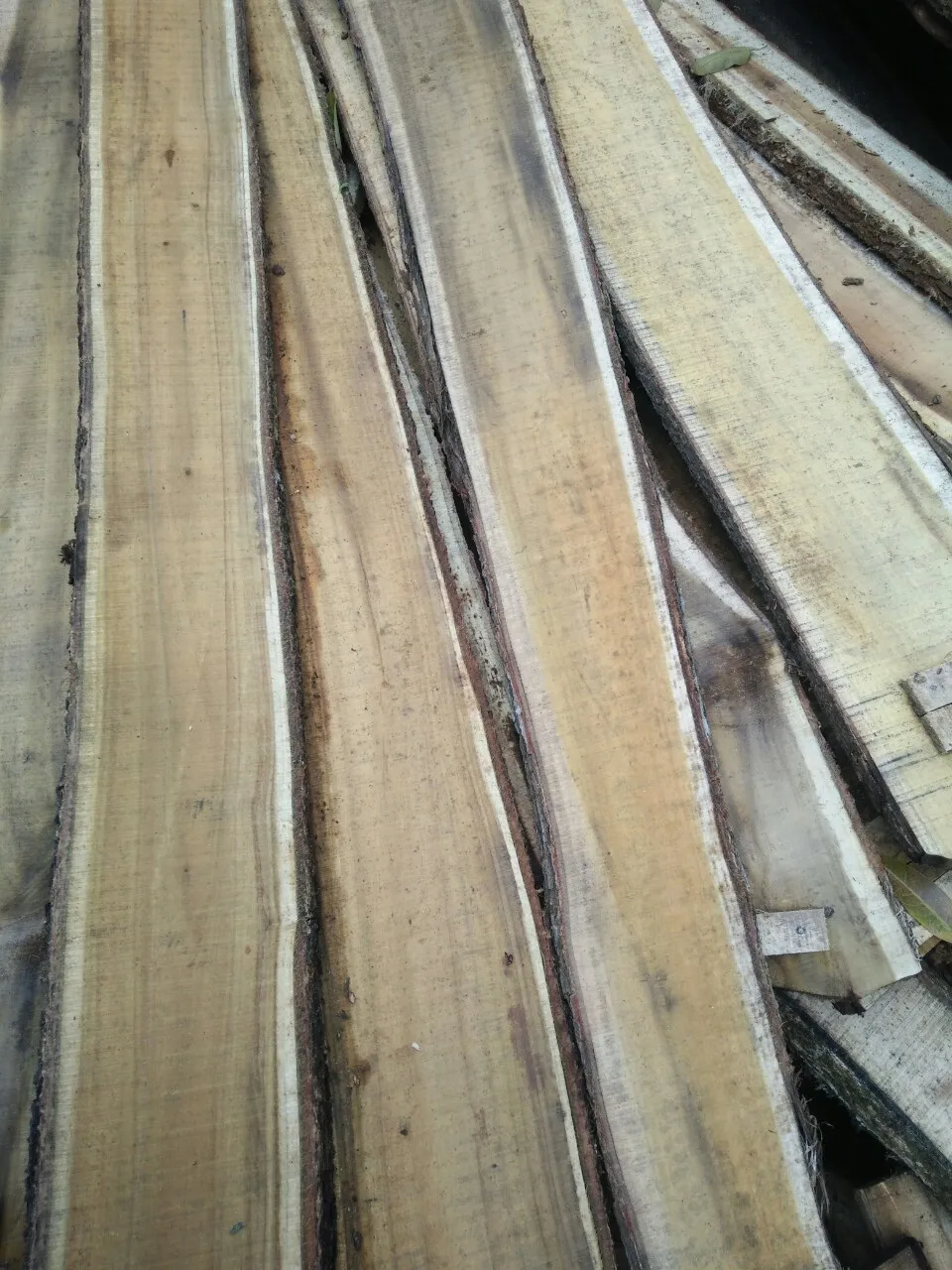 100% натуральное каучуковое дерево изготовленное в каучуковом дереве высокое качество и хорошая цена MS ANNA + 84902804571