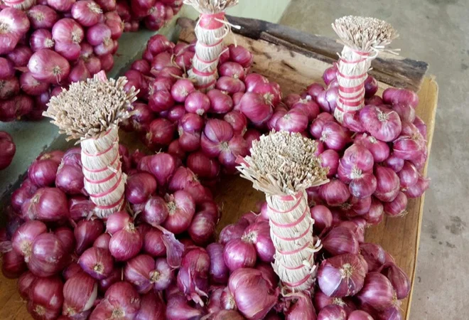 Свежий лук из Вьетнама для экспорта по конкурентоспособной цене и высококачественный авокадо готов к отправке рынков ЕС Азии США