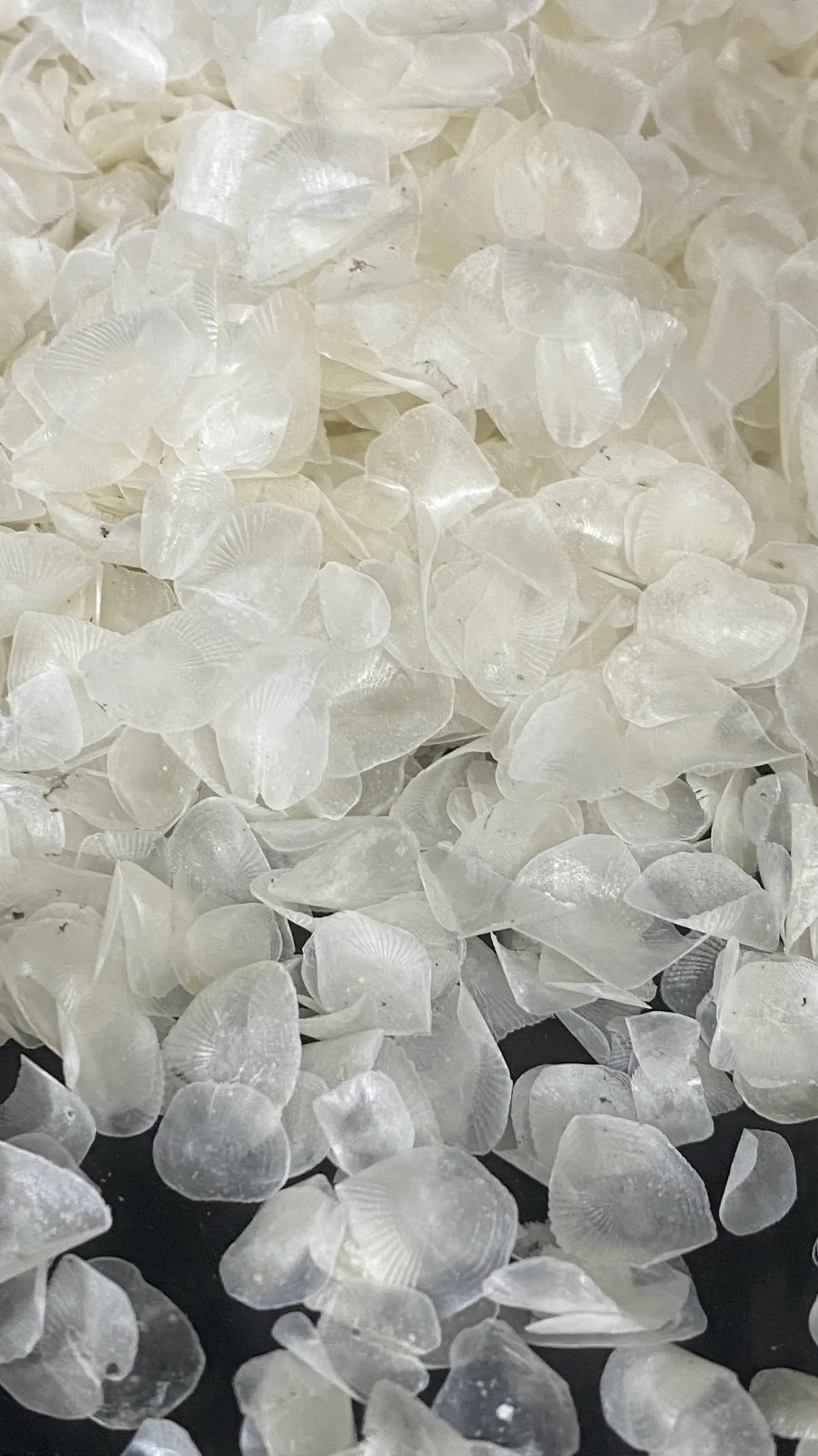 Весы для рыбы DIRED по низкой цене из Вьетнама-Axel + 84 38 776 0892