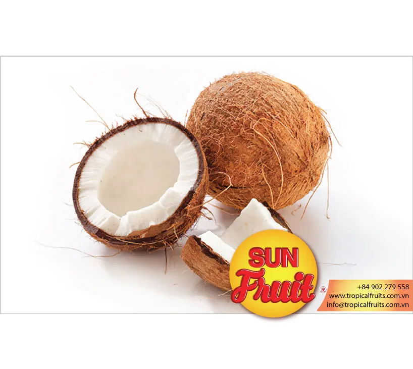 
Fresh Young Coconut Wholesale 