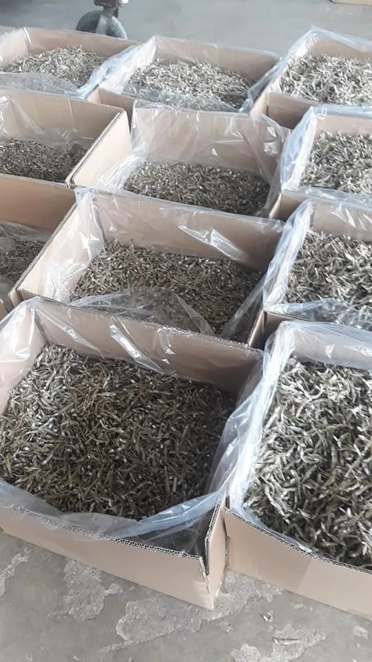 Сушеный СПАТ/сушеный на солнце рыба Анчоуса из Вьетнама по хорошей цене // Sven + 84 966722357