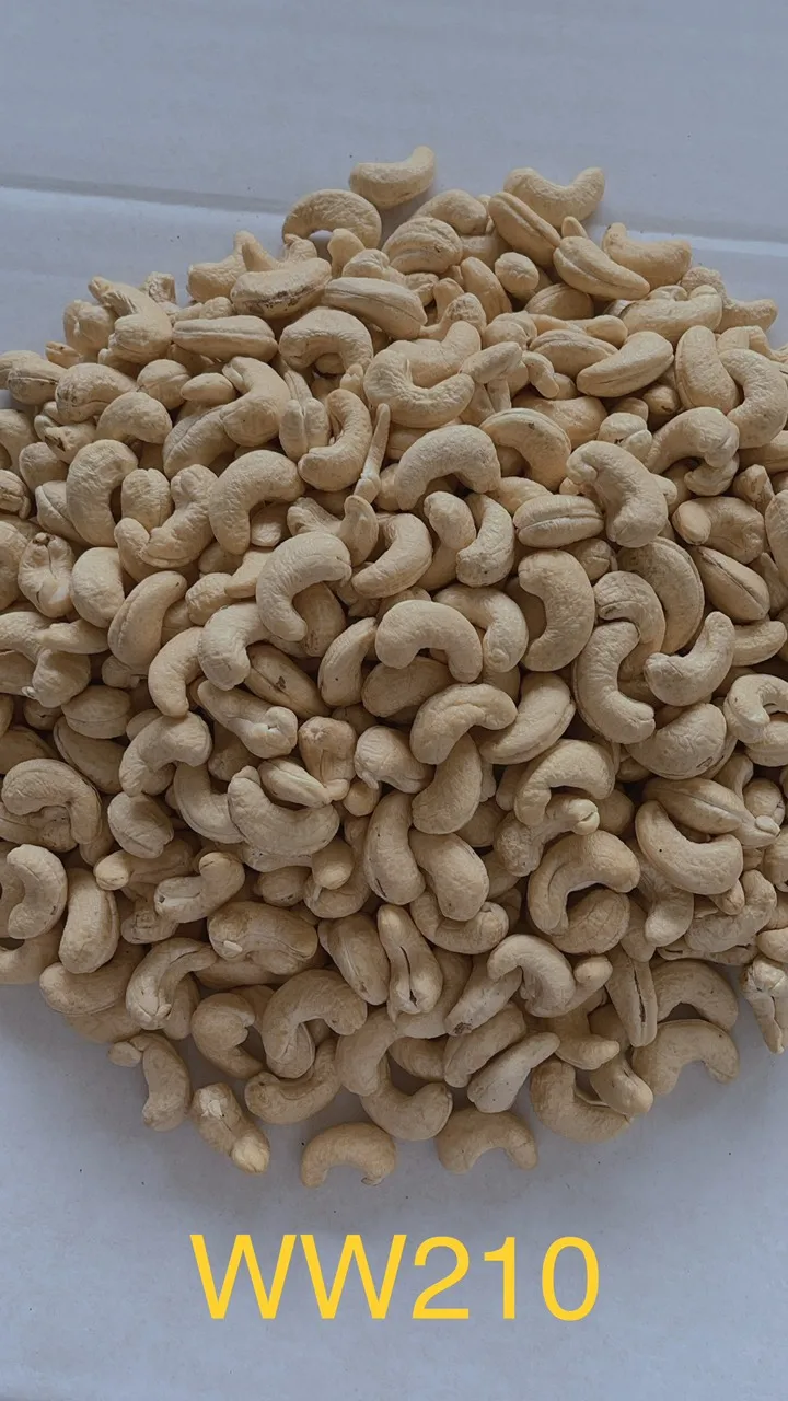 Vietnam wholesale stand up bag for fruit dried nuts cashews dried cranberry food storage plastic packaging bag