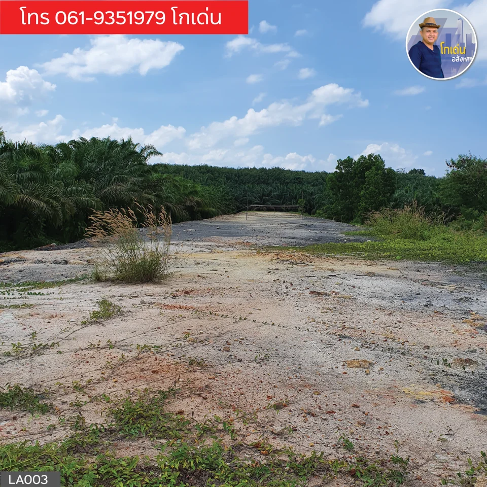 Land for Sale  Wiang Sa District  Surat Thani Thailand