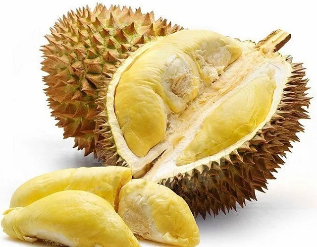 FRESH DURIAN BEST QUALITY FROM VIETNAM BEST SALE 2023 -  VIETNAMESE FRUIT FRESH HIGH QUALITY