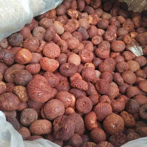 Betel nuts