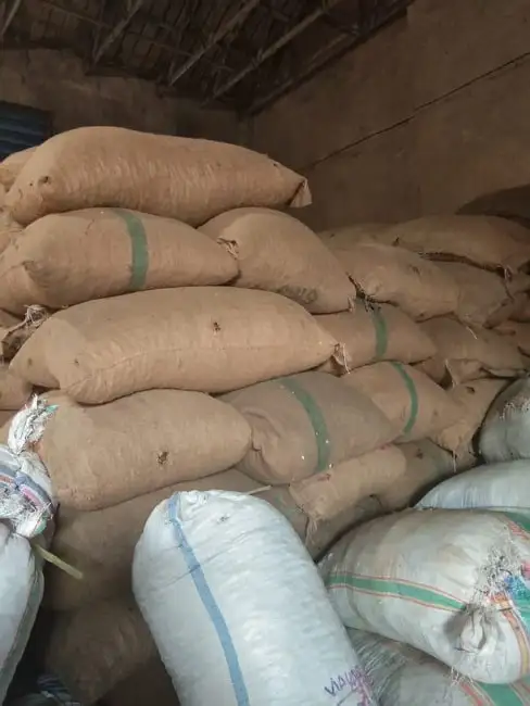 Cashews Nut In Shelled