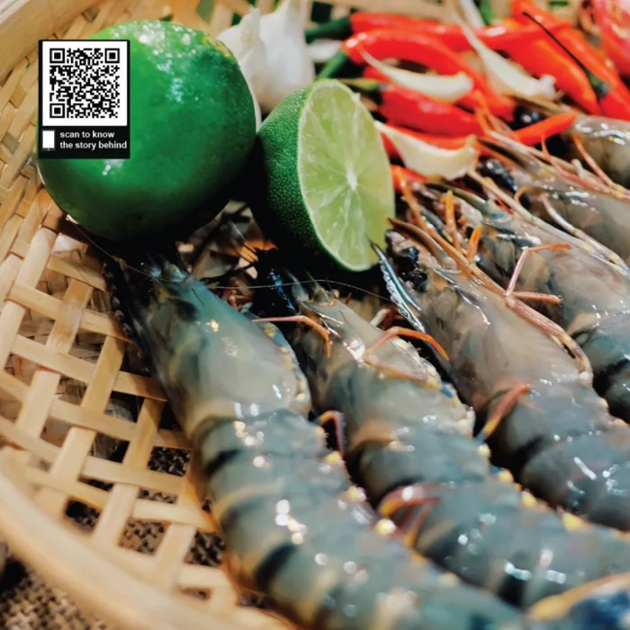 Black Tiger Shrimp Variety Vietnam High Quality Frozen Natural  Black Tiger Shrimp Export From Vietnam