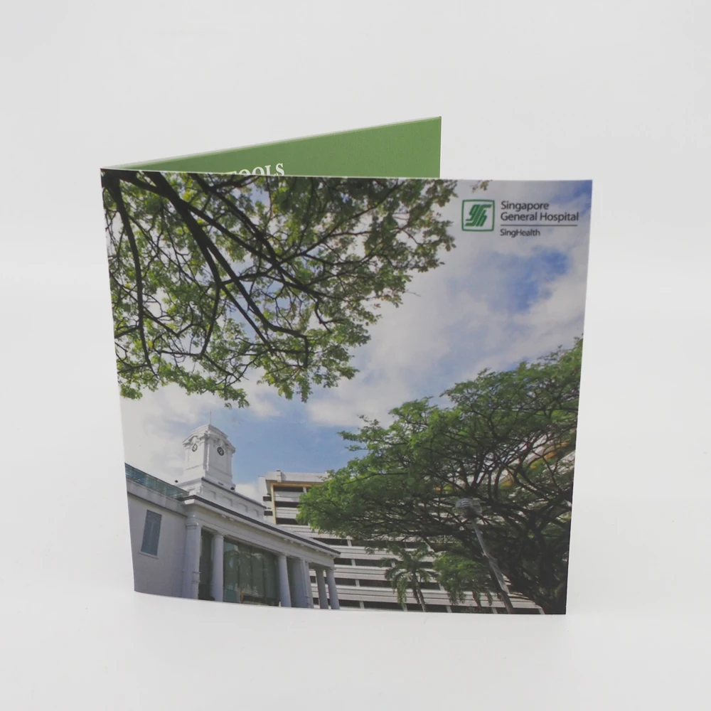 Сингапур, полноцветная цифровая печать, зеленая квадратная Обложка для CD-плеера, г/кв. М, художественная карта, бумага без покрытия