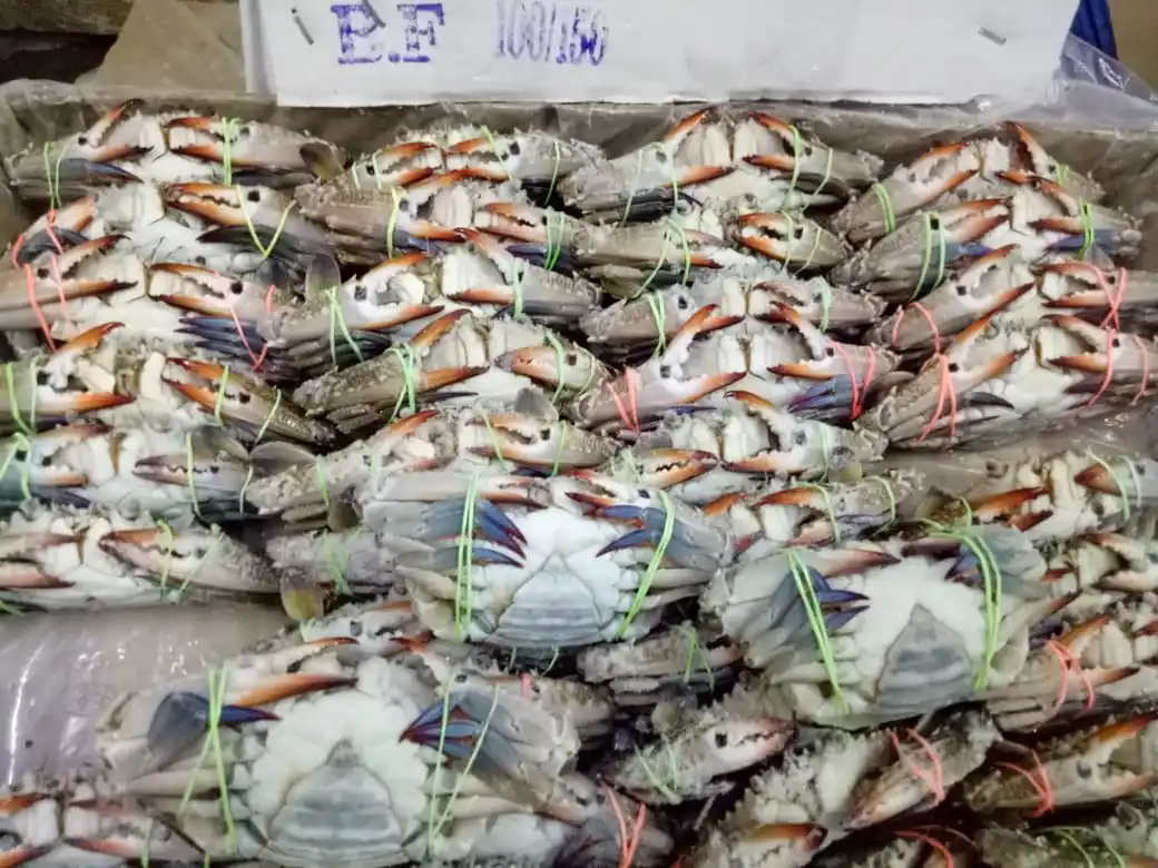 
CRAB BLUE SWIMMING FROZEN 