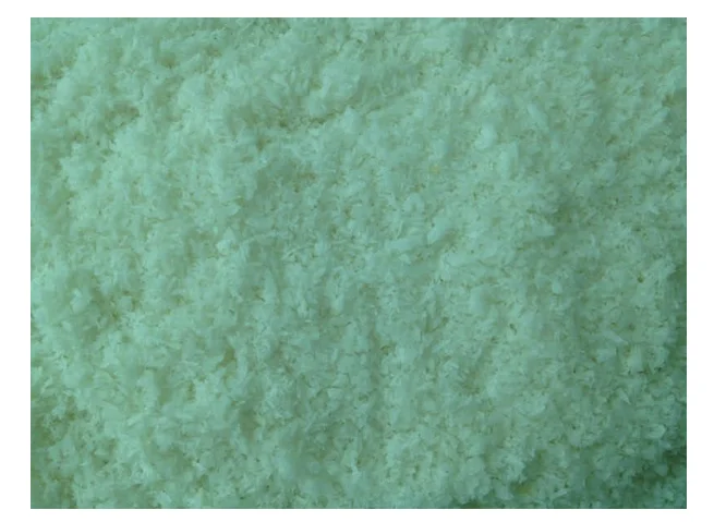  Кокос с высоким содержанием жира по самой низкой цене 65% копра осушенный кокос среднего сорта для приготовления печенья тортов