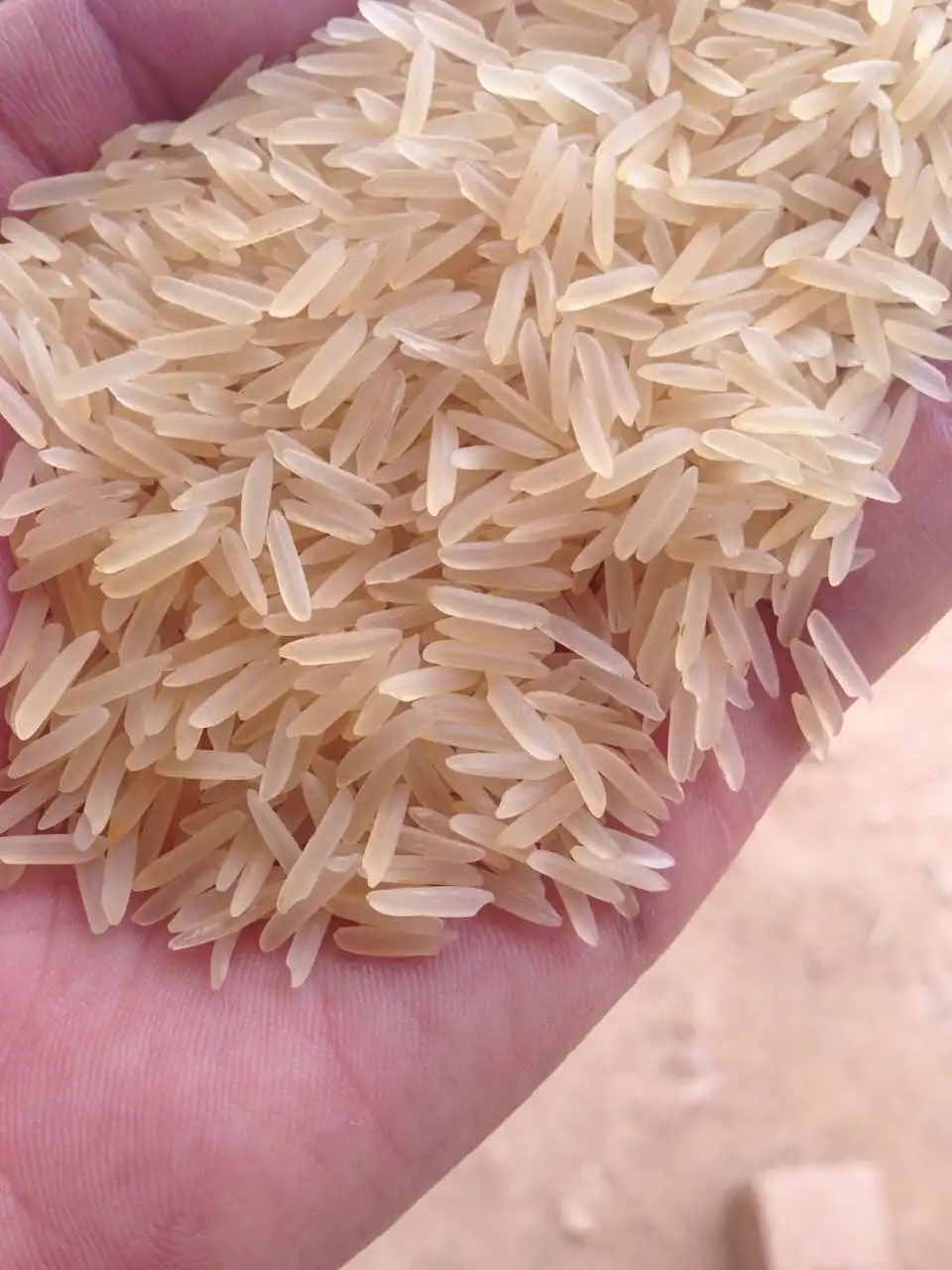 
Indian long grain pure 1121 white sella Basmati Rice 