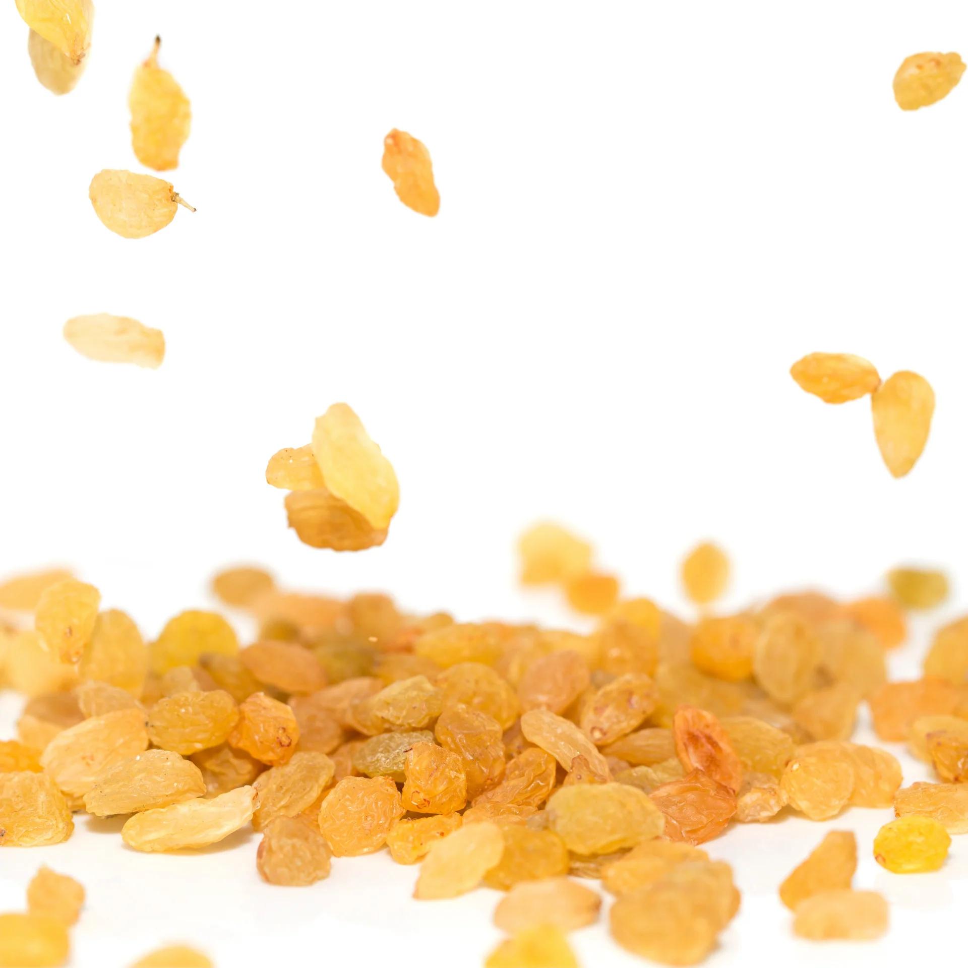 Long Nashik Golden Raisins - High Premium quality