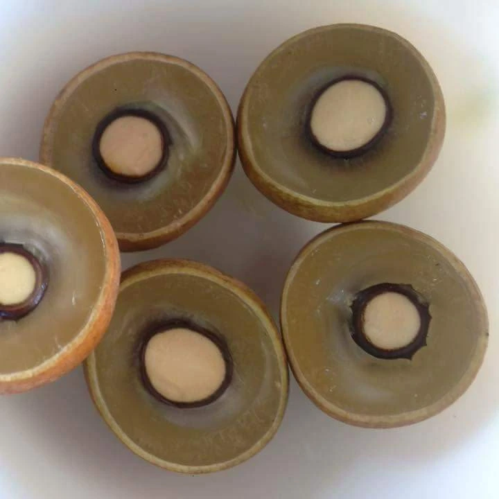 FRESH LONGAN and frozen longan GOOD PRICE FROM VIETNAM  contact +84963818434