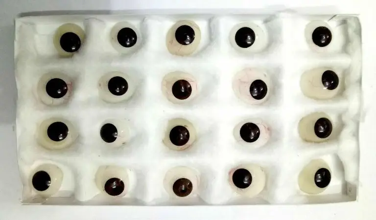  Оригинальная цена от производителя индийские искусственные глаза темно-коричневый цвет натуральный и реалистичный вид